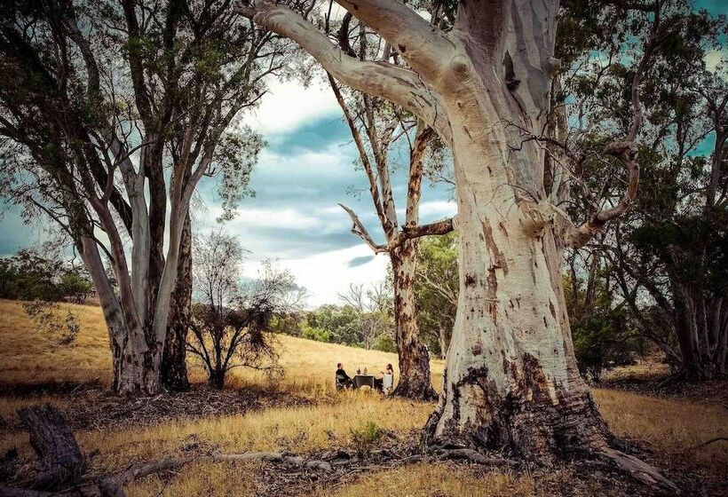 酒店 Arkaba Homestead