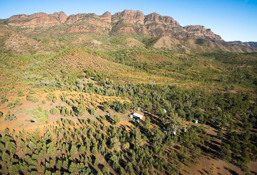 酒店 Arkaba Homestead