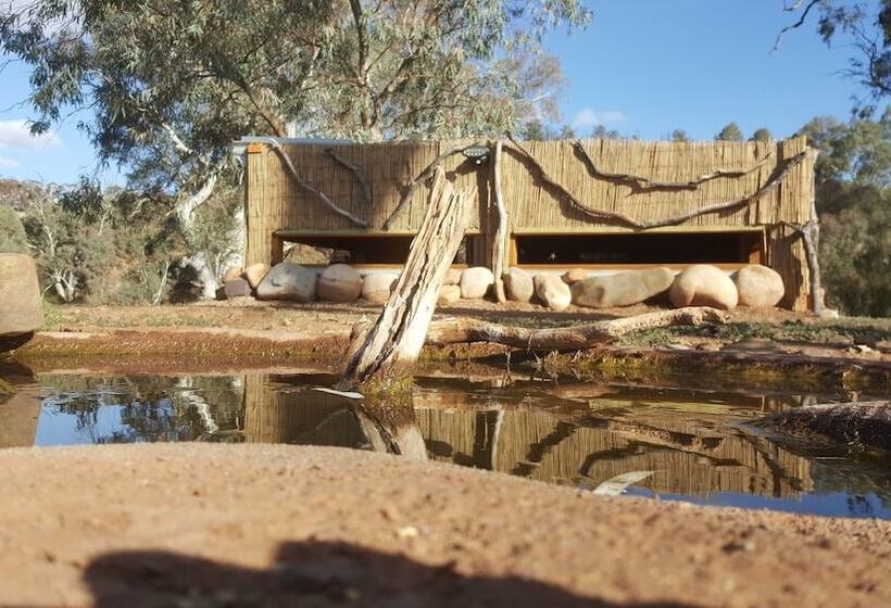 酒店 Arkaba Homestead