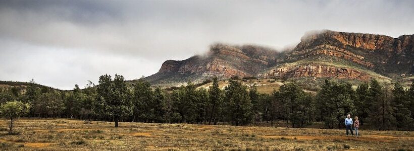 酒店 Arkaba Homestead