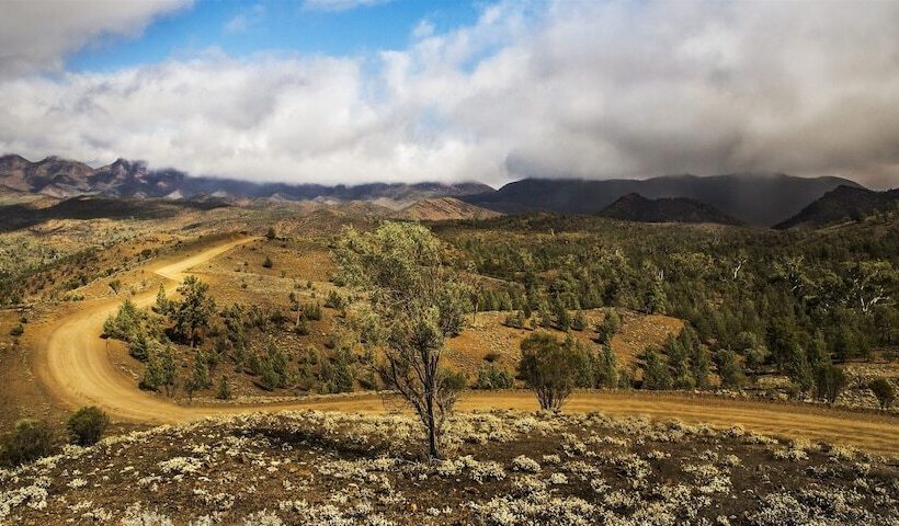 酒店 Arkaba Homestead