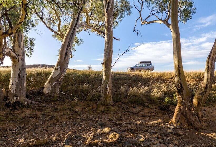 酒店 Arkaba Homestead