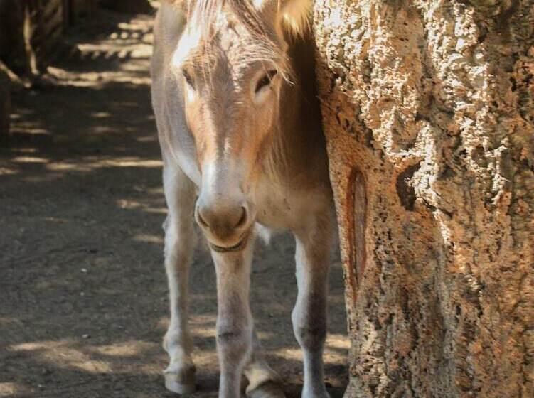 فندق Le Rendez Vous De L été