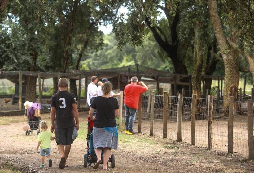 فندق Le Rendez Vous De L été