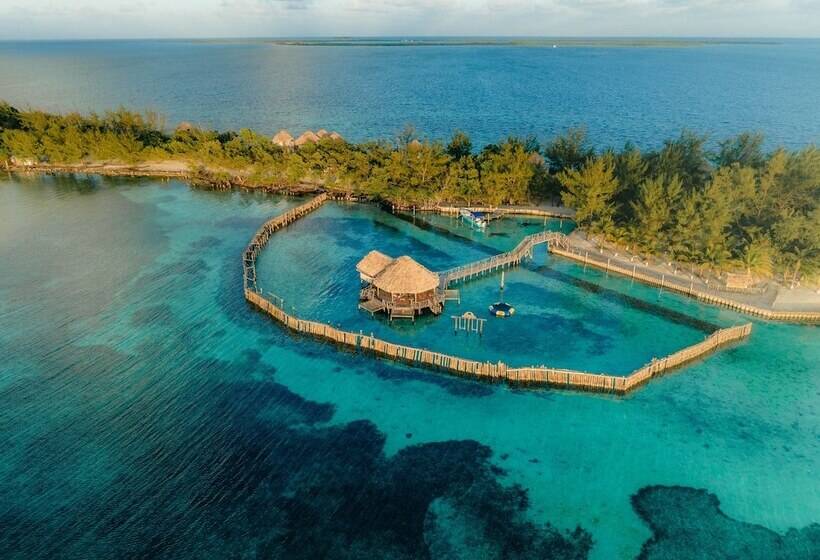 בית מלון כפרי Thatch Caye, A Muy Ono Resort