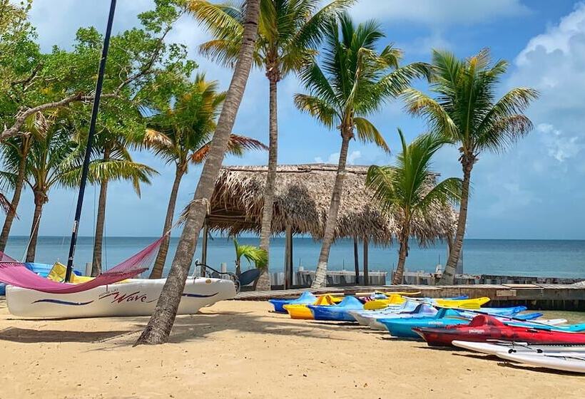 בית מלון כפרי Thatch Caye, A Muy Ono Resort