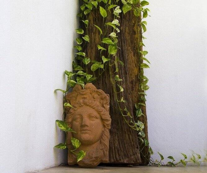 پانسیون Citystop