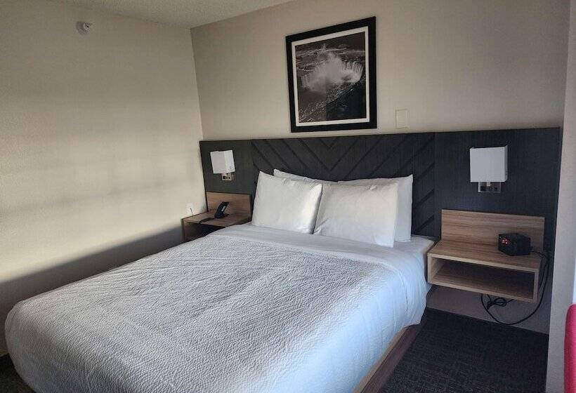 فندق Best Western Buffalo Inn & Suites