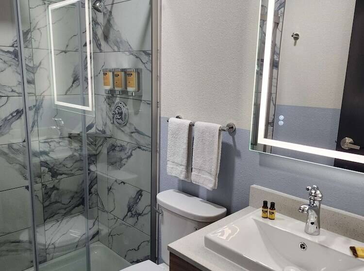 فندق Best Western Buffalo Inn & Suites