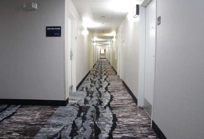 فندق America S Best Value Inn And Suites   Jackson