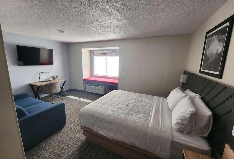 فندق Best Western Buffalo Inn & Suites