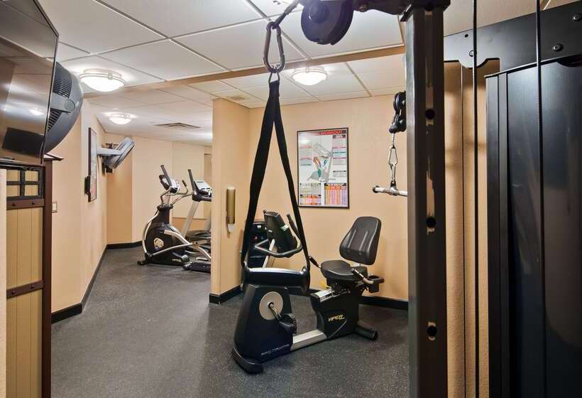 酒店 Best Western Plus Peak Vista Inn & Suites