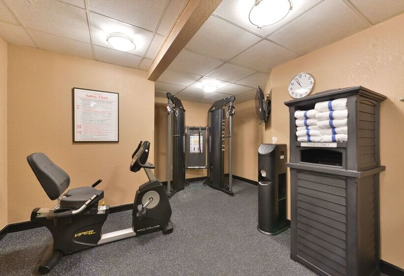 酒店 Best Western Plus Peak Vista Inn & Suites