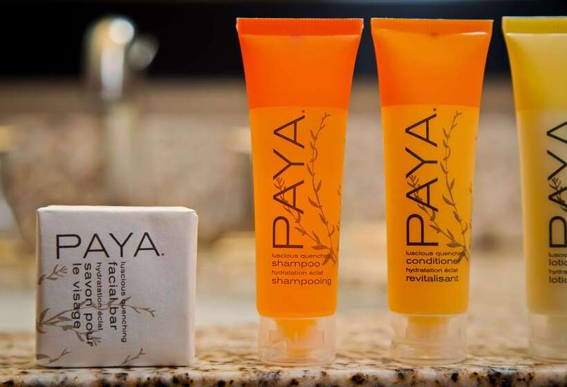 酒店 Best Western Plus Peak Vista Inn & Suites