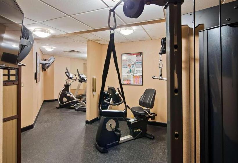 酒店 Best Western Plus Peak Vista Inn & Suites