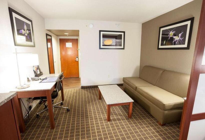 هتل Best Western Plus Peak Vista Inn & Suites
