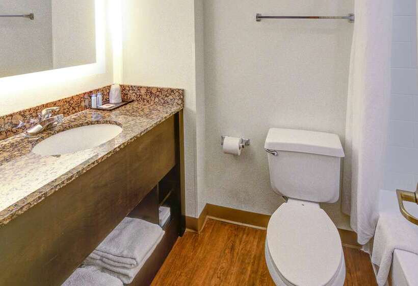 Leconte Hotel & Convention Center, Ascend Hotel Collection