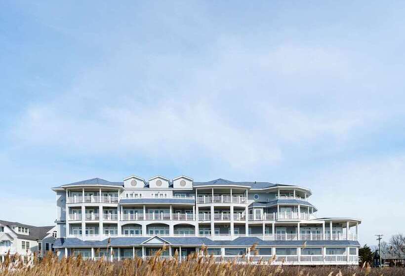 酒店 Madison Beach