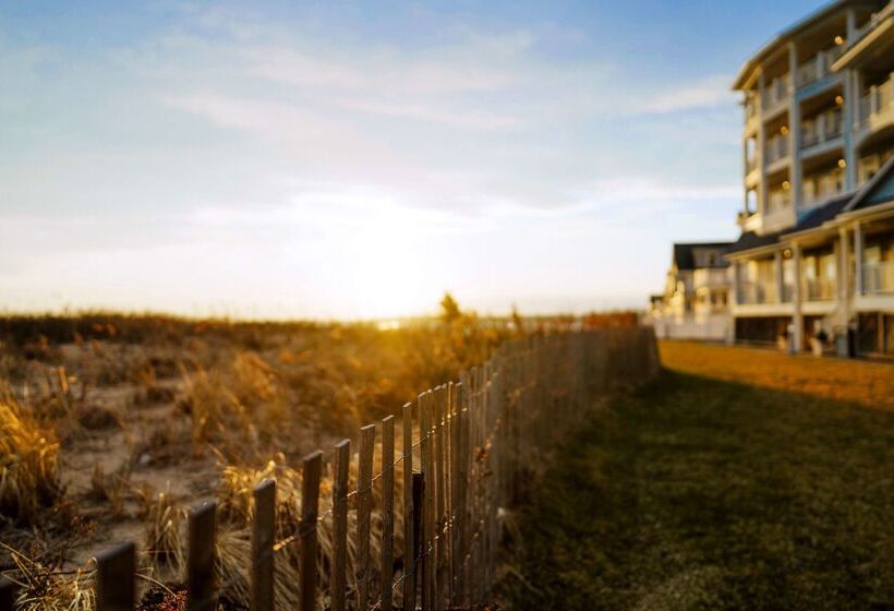 酒店 Madison Beach