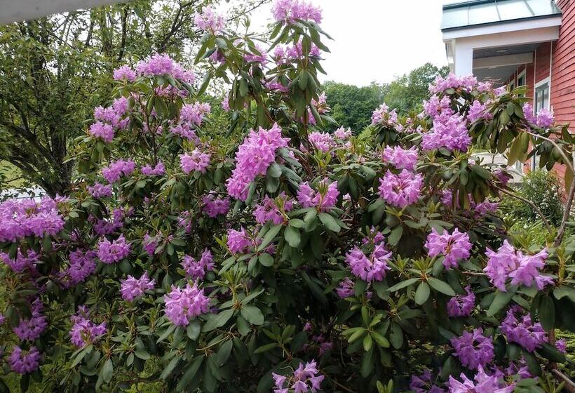 호텔 Maple Hill Farm Inn