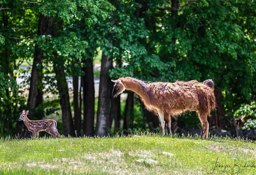 호텔 Maple Hill Farm Inn
