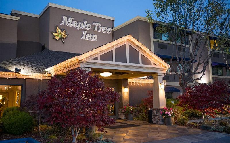 هتل Maple Tree Inn