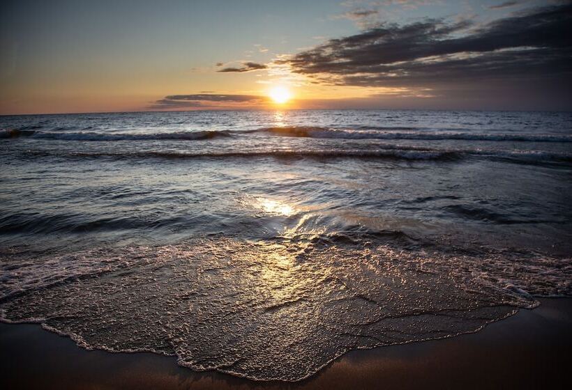 בית מלון כפרי Maplewood