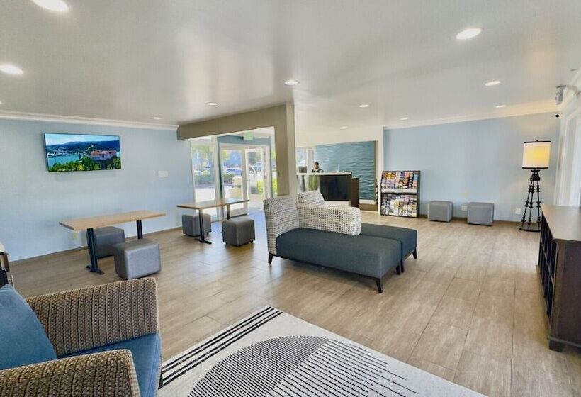 בית מלון כפרי Marina Village Inn