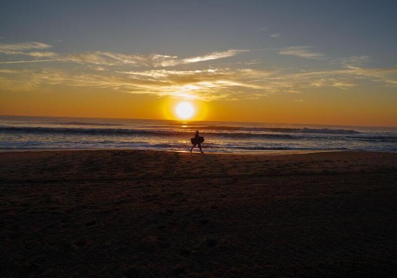 هتل Marjac Suites Virginia Beach Oceanfront