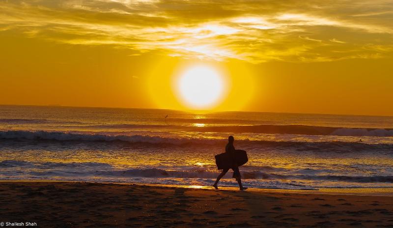 هتل Marjac Suites Virginia Beach Oceanfront