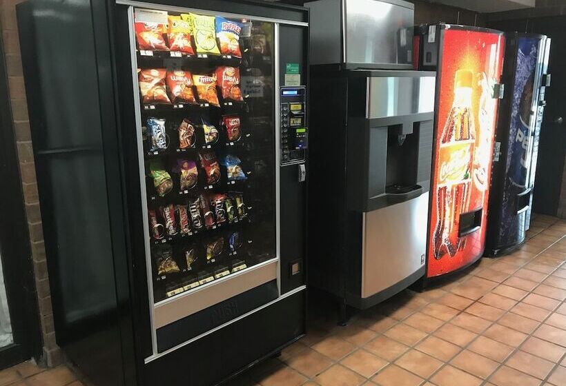 בית מלון כפרי Marvin S Garden Inn