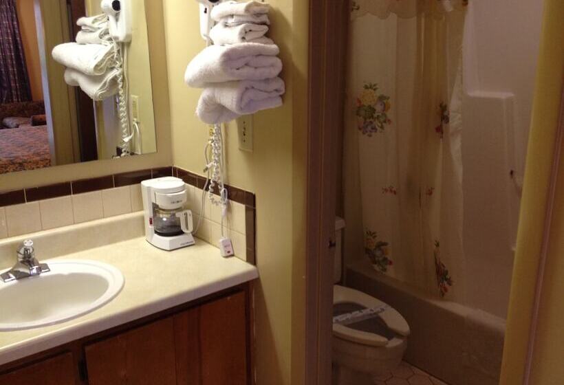 هتل Mcclellan Inn