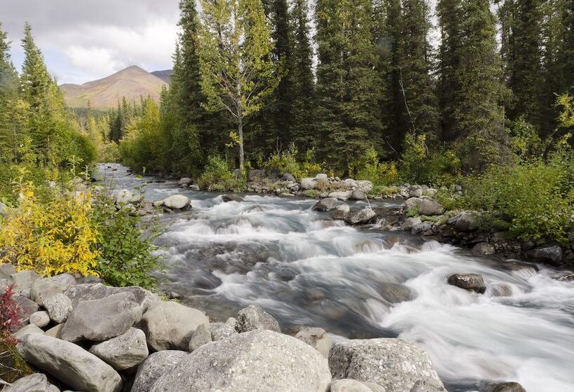 فندق Mckinley Creekside Cabins