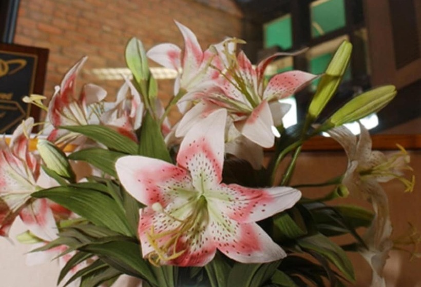 فندق Meadow Court Inn  Ithaca