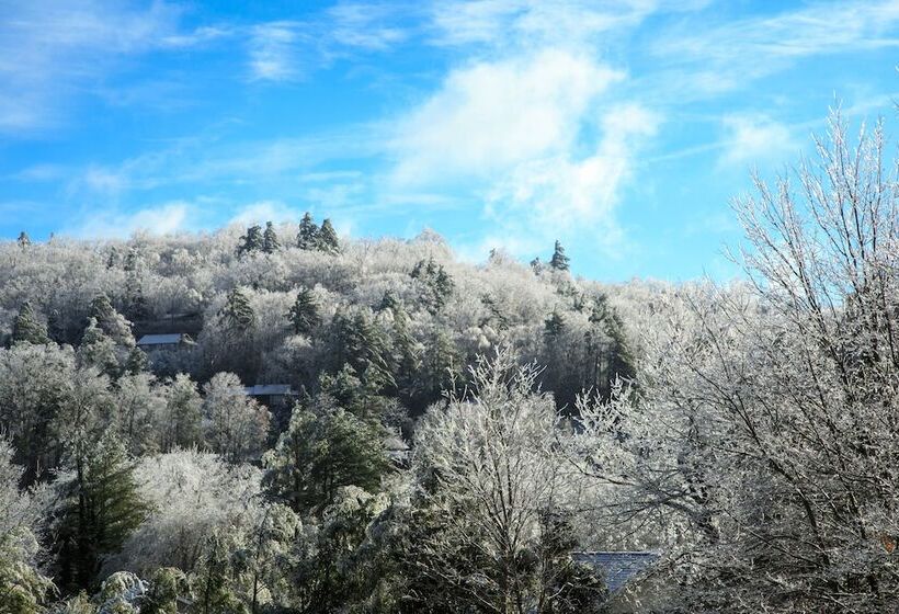 فندق Meadowbrook Inn