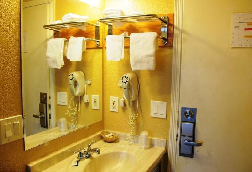 فندق Merrill Field Inn