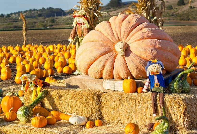 בית מלון כפרי Mill Rose Inn