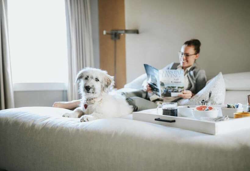 فندق Mill Street Inn