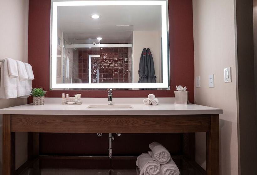 Napa Valley Marriott Hotel & Spa