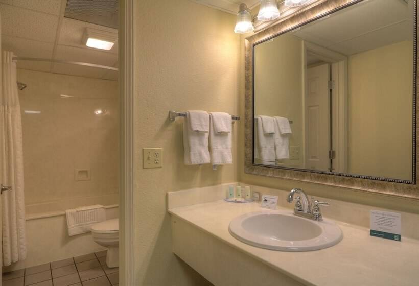 هتل Quality Inn & Suites At Dollywood Lane