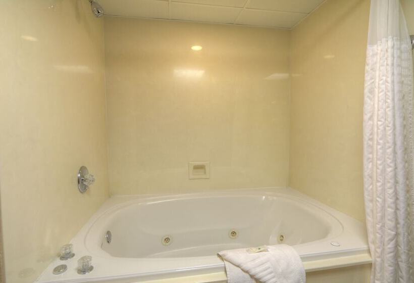 هتل Quality Inn & Suites At Dollywood Lane