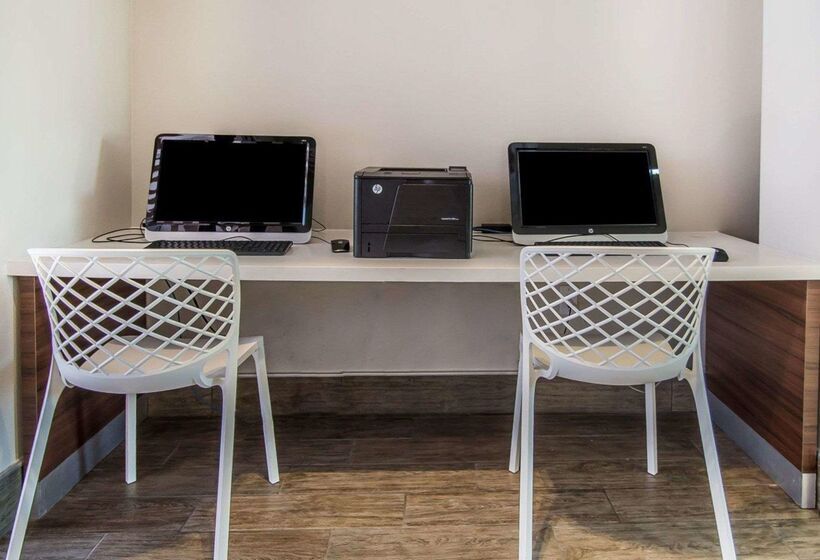 酒店 Quality Inn & Suites By The Parks