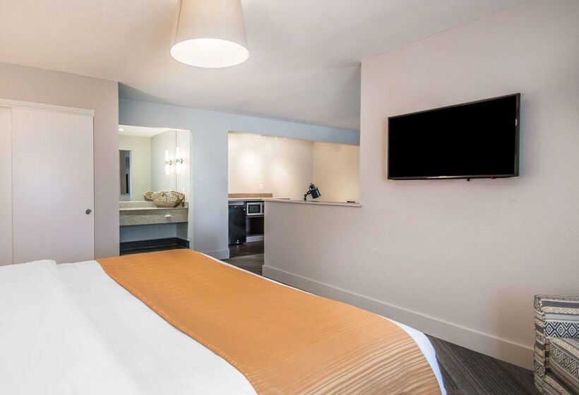 酒店 Quality Inn & Suites By The Parks