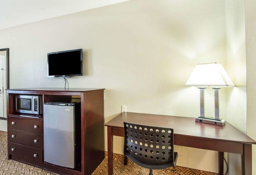 酒店 Quality Inn & Suites By The Parks