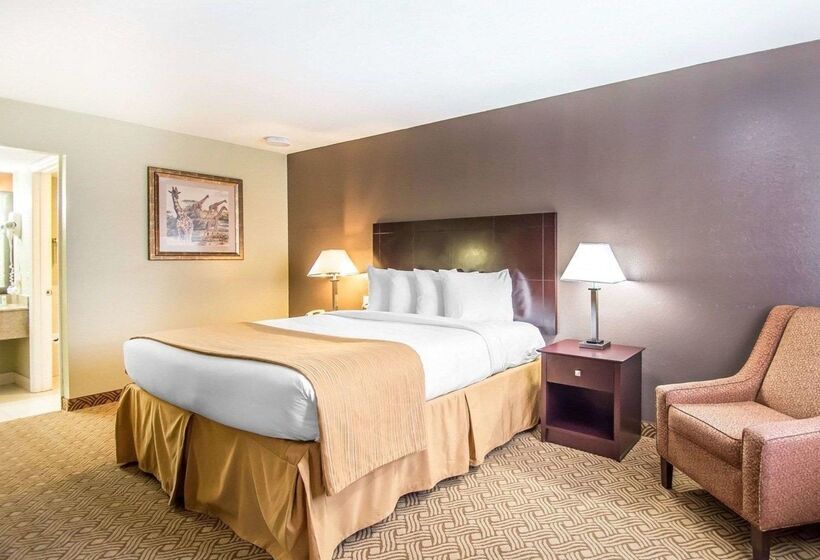 酒店 Quality Inn & Suites By The Parks