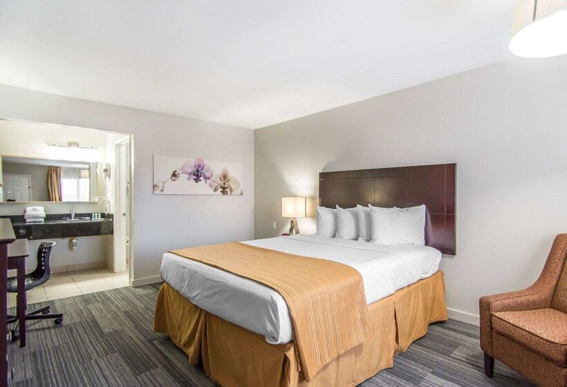 酒店 Quality Inn & Suites By The Parks