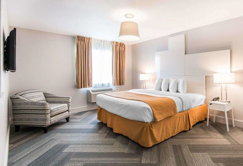 酒店 Quality Inn & Suites By The Parks