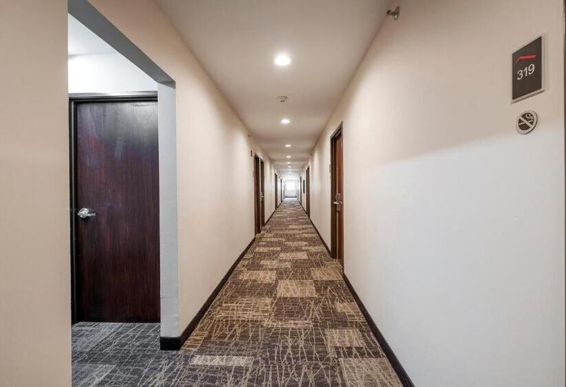 בית מלון כפרי Red Roof Inn Sulphur