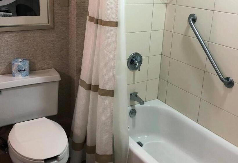 هتل Rochester Marriott Mayo Clinic Area