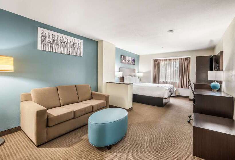 בית מלון כפרי Sleep Inn & Suites Tallahasseecapitol